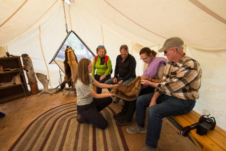 Group of people indoors examining animal furs with taxidermy in background.