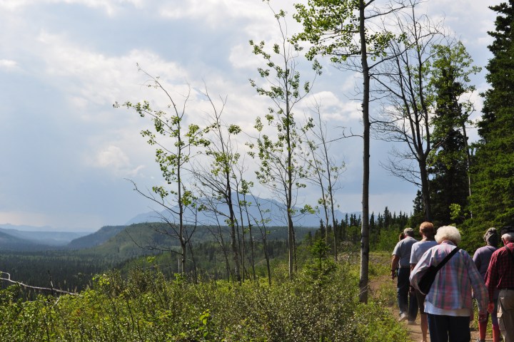 Group of people walking on a forested trail with mountain view.
