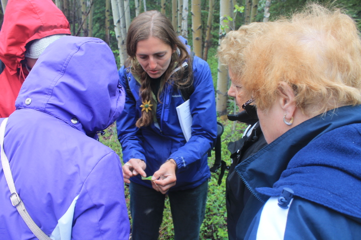 Group outdoors, woman shows green plant to others in rain gear.