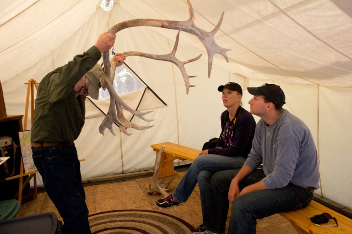 Man holding antlers in a tent as two people sit watching on benches.
