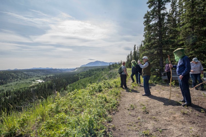 People standing on a forest trail overlooking a vast green landscape and distant mountains.