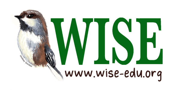 Bird next to 'WISE' in green letters and website link below.